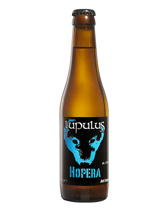 Carton Lupulus Hopera 24x33cl bouteilles 6%